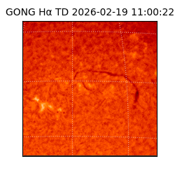 gong - 2026-02-19T11:00:22