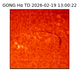 gong - 2026-02-19T13:00:22