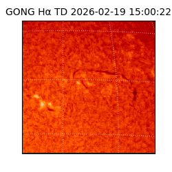 gong - 2026-02-19T15:00:22