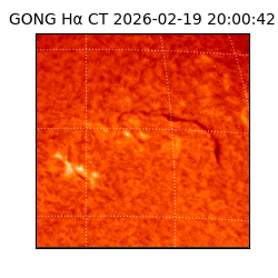 gong - 2026-02-19T20:00:42