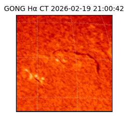 gong - 2026-02-19T21:00:42