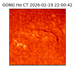 gong - 2026-02-19T22:00:42