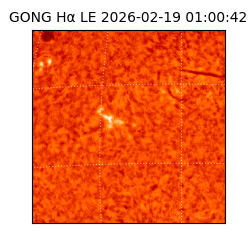 gong - 2026-02-19T01:00:42