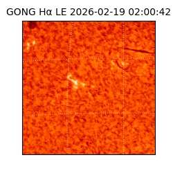 gong - 2026-02-19T02:00:42