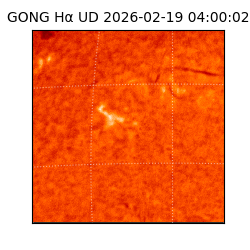 gong - 2026-02-19T04:00:02