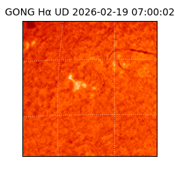 gong - 2026-02-19T07:00:02