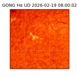 gong - 2026-02-19T08:00:02