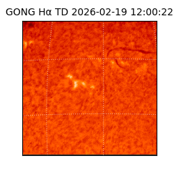 gong - 2026-02-19T12:00:22