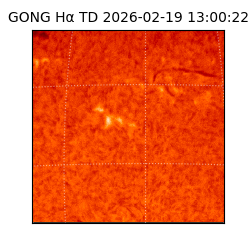 gong - 2026-02-19T13:00:22