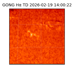 gong - 2026-02-19T14:00:22