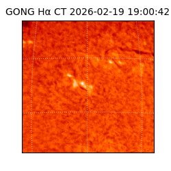 gong - 2026-02-19T19:00:42