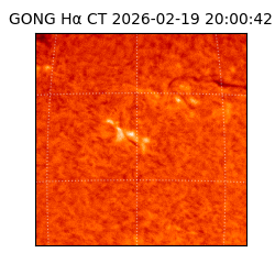 gong - 2026-02-19T20:00:42