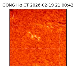 gong - 2026-02-19T21:00:42