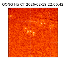 gong - 2026-02-19T22:00:42