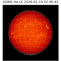 gong - 2026-02-19T02:00:42