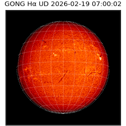 gong - 2026-02-19T07:00:02