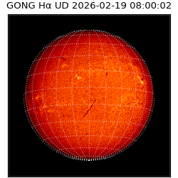 gong - 2026-02-19T08:00:02