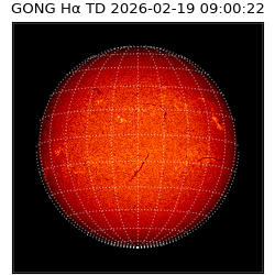 gong - 2026-02-19T09:00:22
