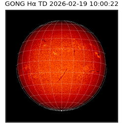 gong - 2026-02-19T10:00:22