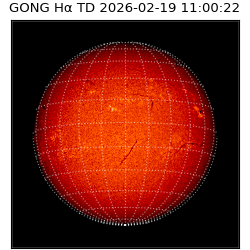 gong - 2026-02-19T11:00:22
