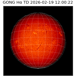 gong - 2026-02-19T12:00:22