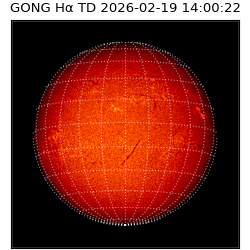 gong - 2026-02-19T14:00:22