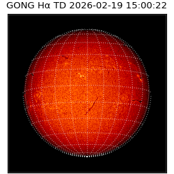 gong - 2026-02-19T15:00:22
