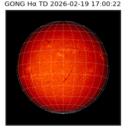 gong - 2026-02-19T17:00:22