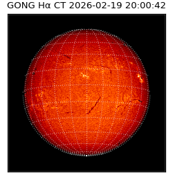 gong - 2026-02-19T20:00:42
