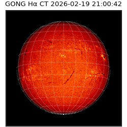 gong - 2026-02-19T21:00:42