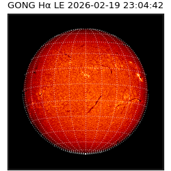 gong - 2026-02-19T23:04:42