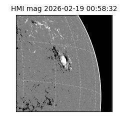 shmi - 2026-02-19T00:58:32.300000