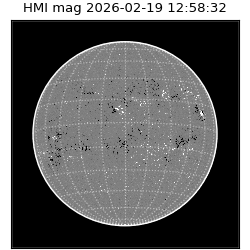 shmi - 2026-02-19T12:58:32.300000