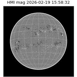 shmi - 2026-02-19T15:58:32.200000