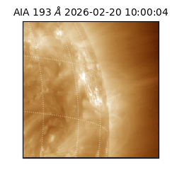 saia - 2026-02-20T10:00:04.843000