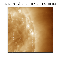 saia - 2026-02-20T14:00:04.846000