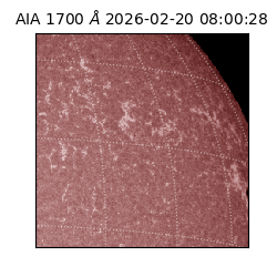 saia - 2026-02-20T08:00:28.720000