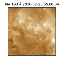 saia - 2026-02-20T05:00:04.843000