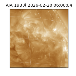 saia - 2026-02-20T06:00:04.843000