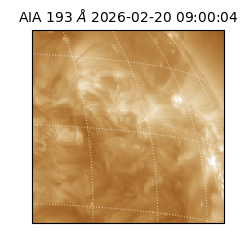 saia - 2026-02-20T09:00:04.844000