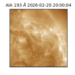 saia - 2026-02-20T20:00:04.843000