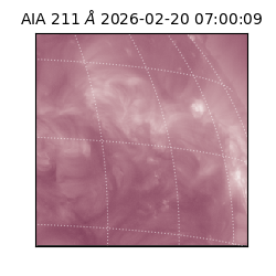 saia - 2026-02-20T07:00:09.632000