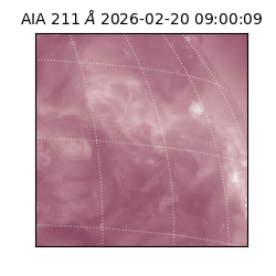 saia - 2026-02-20T09:00:09.632000