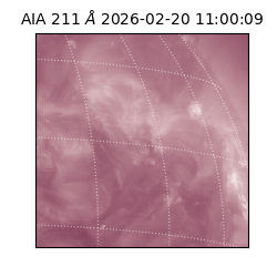 saia - 2026-02-20T11:00:09.631000