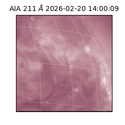 saia - 2026-02-20T14:00:09.627000