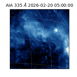 saia - 2026-02-20T05:00:00.625000