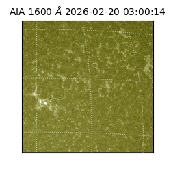 saia - 2026-02-20T03:00:14.125000