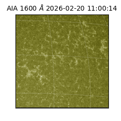 saia - 2026-02-20T11:00:14.126000