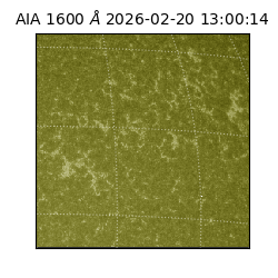 saia - 2026-02-20T13:00:14.125000