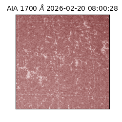 saia - 2026-02-20T08:00:28.720000